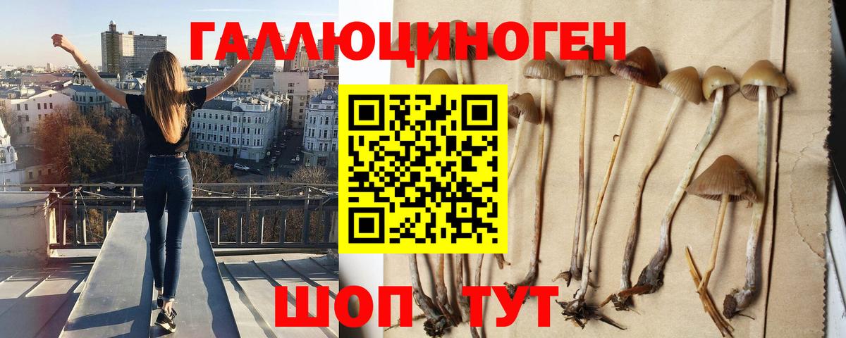 Волжский  Галлюциногенные грибы ЛСД  Вход с VPN 
